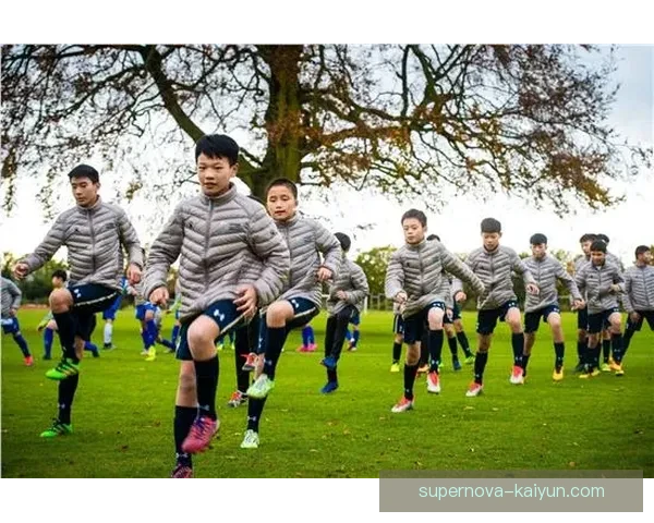 明星球员闪耀赛场，巩固球队胜利之路引领足球盛宴表现亮眼。